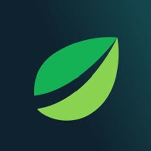 Bitfinex, exchange, API