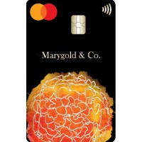 Marygold & Co., FinTech, FDIC, USA