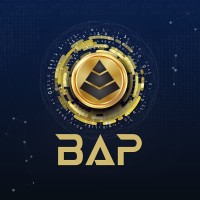 BAP Token, Bitcoin ATM Pros, USA