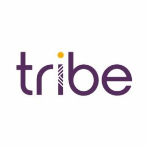 Tribe Payments, Paynice, Italy, risk monitoring solutions, electronic payments 