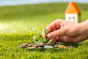 Wealthtech, FinTech